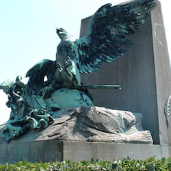 L&#39;Aigle_blesse