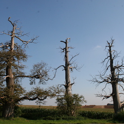 Waterloo2007_2 006